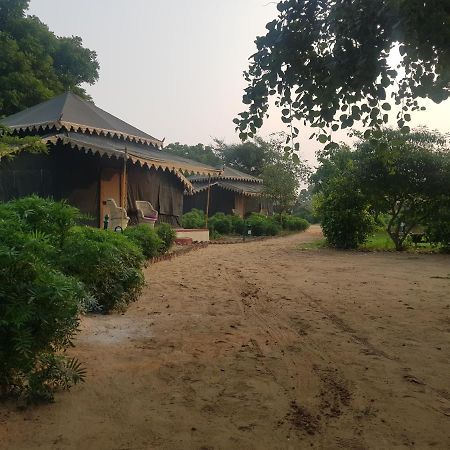 Orchard Tents & Tranquility Pushkar Eksteriør bilde