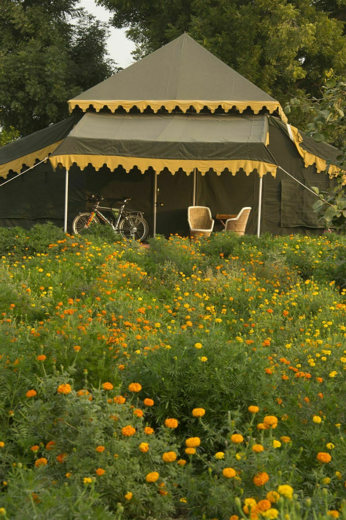 Orchard Tents & Tranquility Pushkar Eksteriør bilde